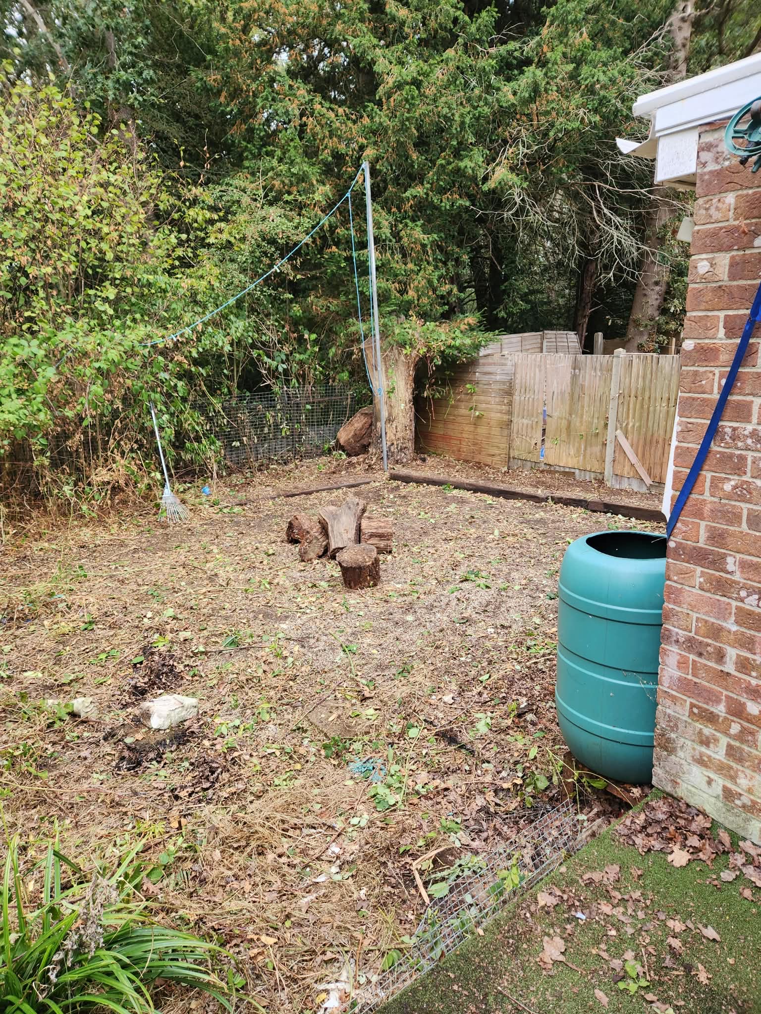 Overgrown Garden Clearance in Havant – Before & After Transformation — Hampshire Waste Clearance Services.