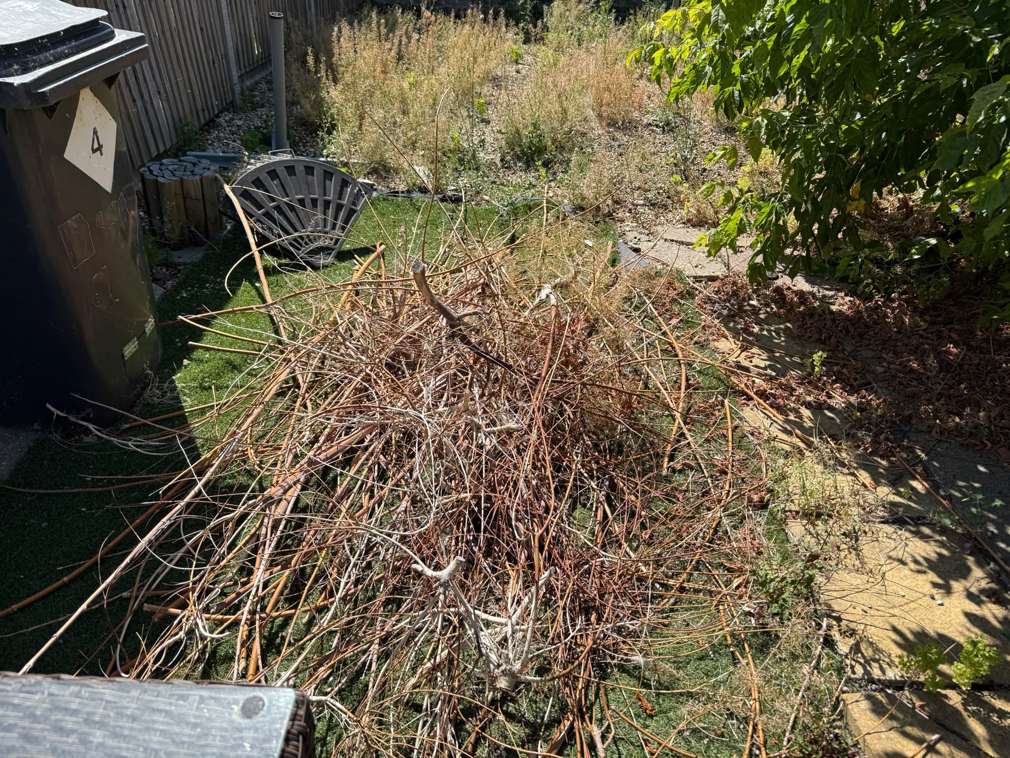 Garden Clearance in Waterlooville: A Seasonal Guide — Hampshire Waste Clearance Services.
