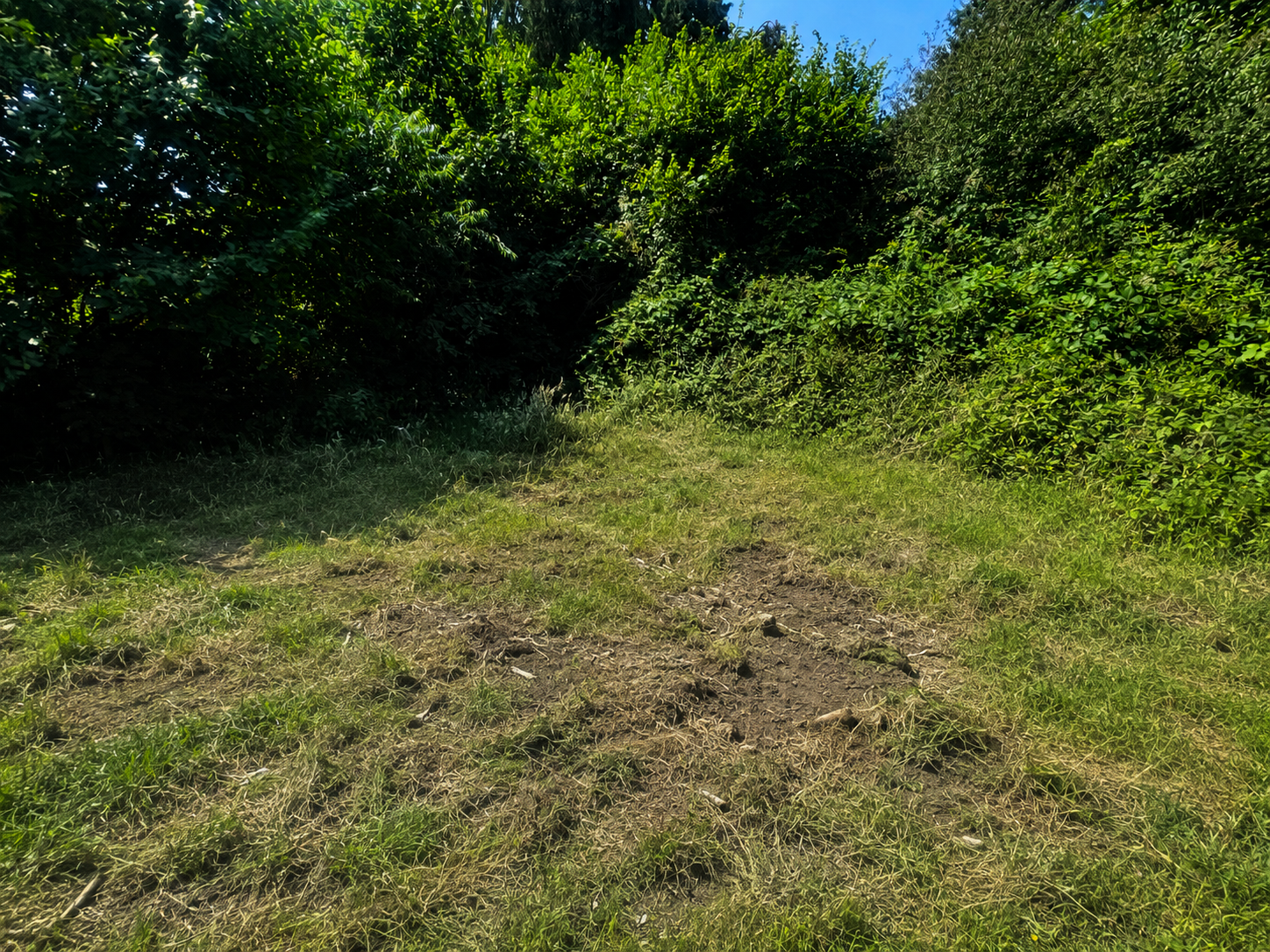 Case Study: Large Commercial Waste Clearance in Liphook in Portsmouth — during the job (photo 2), carried out by Hampshire Waste Clearance Services.