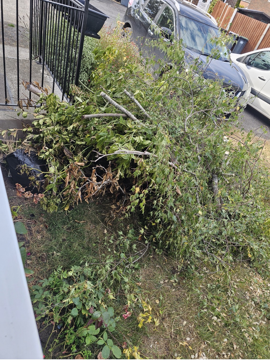 A tidy garden in Waterlooville after a professional garden clearance, with neat lawn edges and clear flowerbeds.