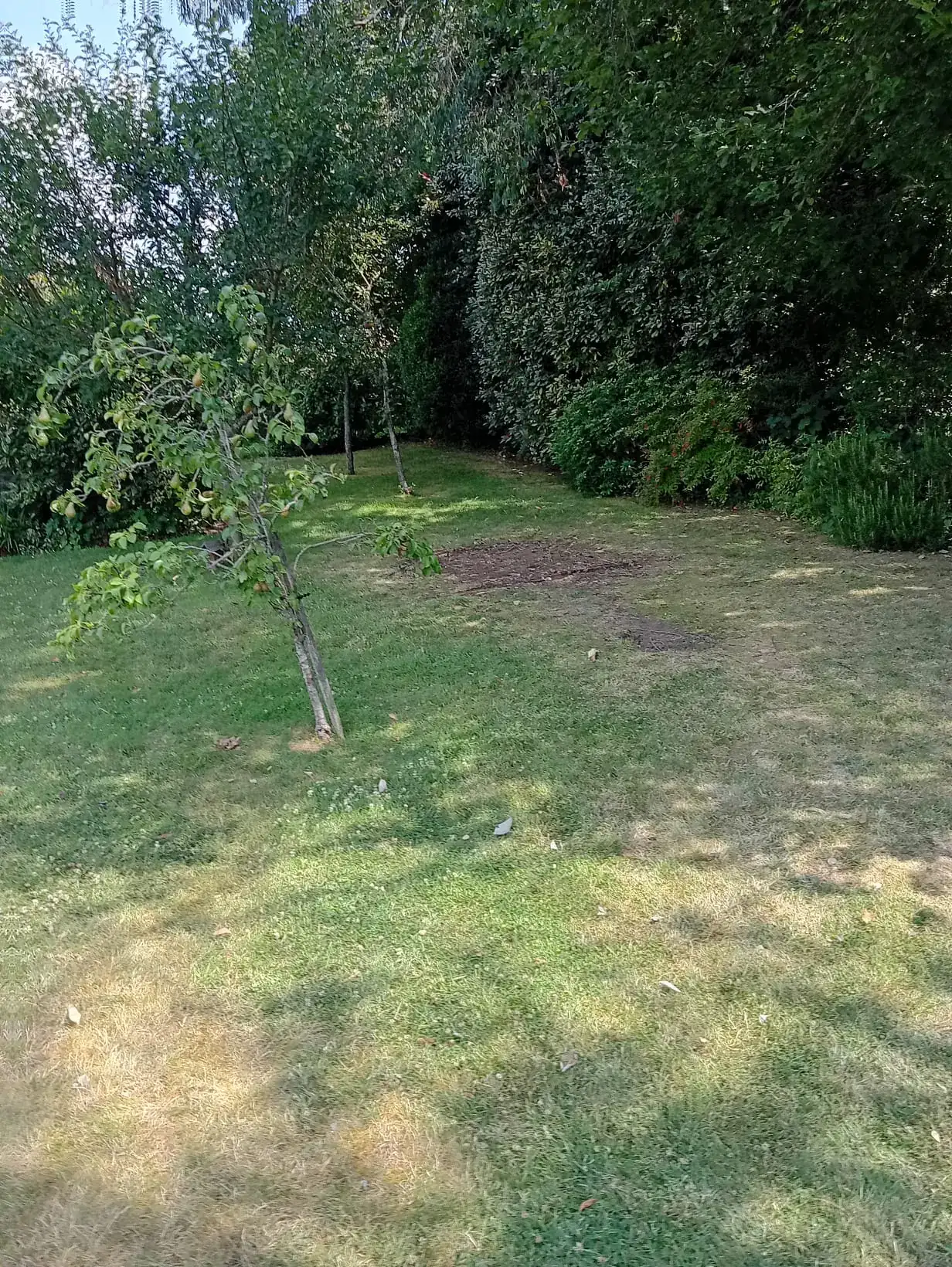 Garden & Playhouse Removal in Emsworth after Hampshire Waste Clearance